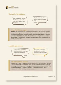 Pulling to Peaceful: Loose-Lead Walking Training for Your Puppy – Image 3