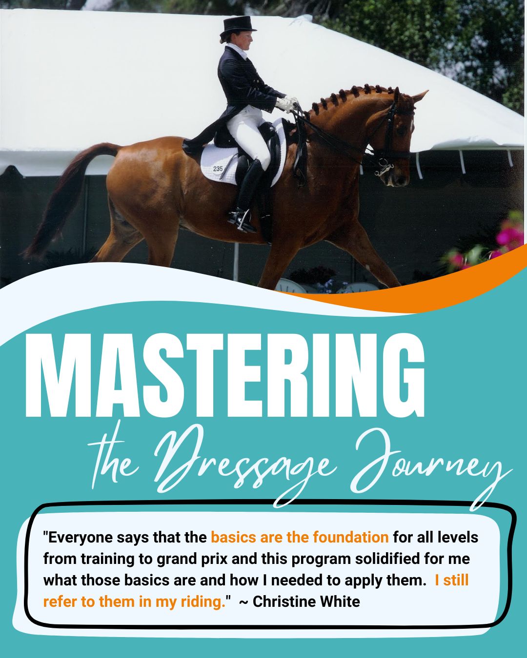Mastering the Dressage Journey – Image 1