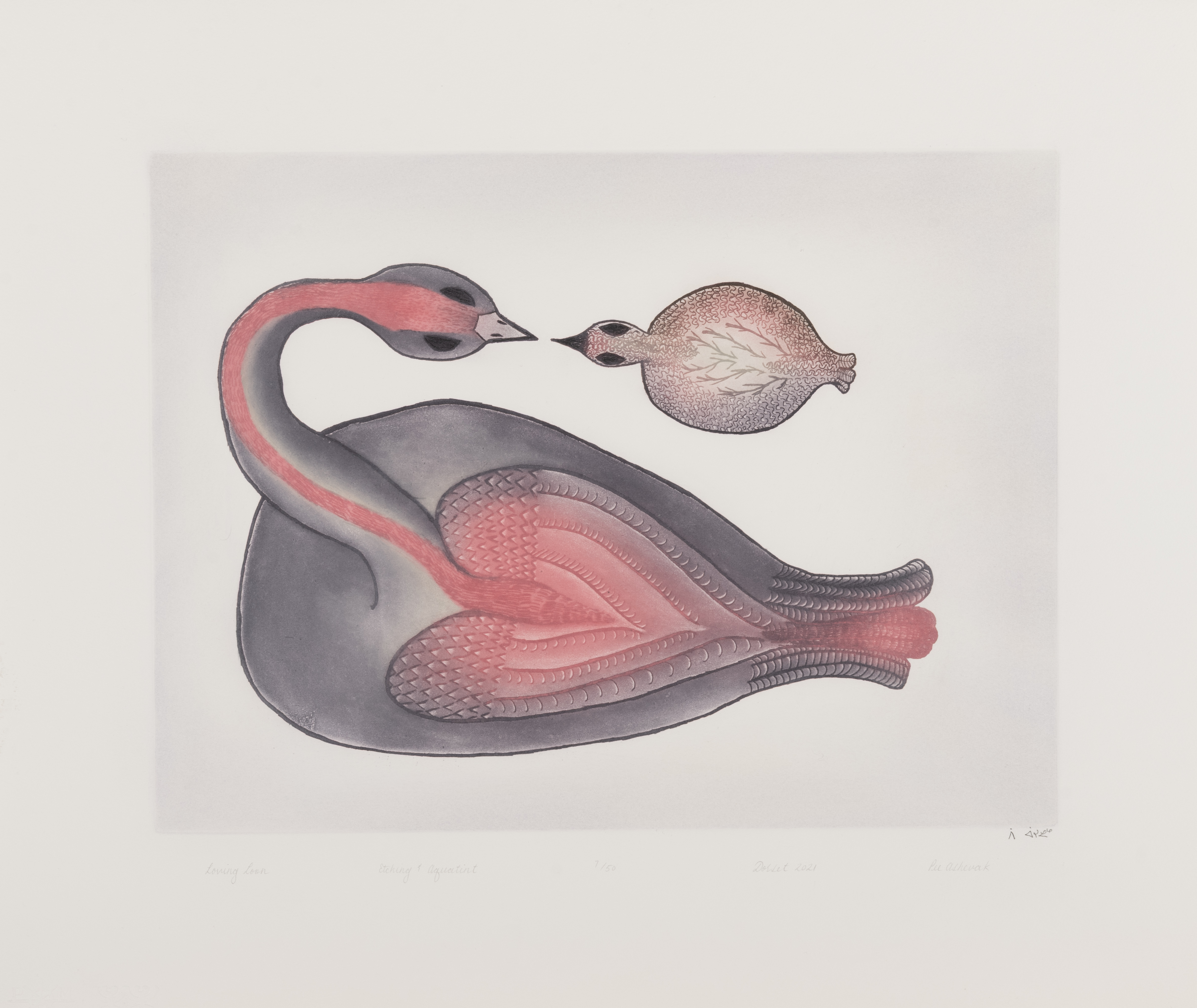 Loving Loon – Image 1