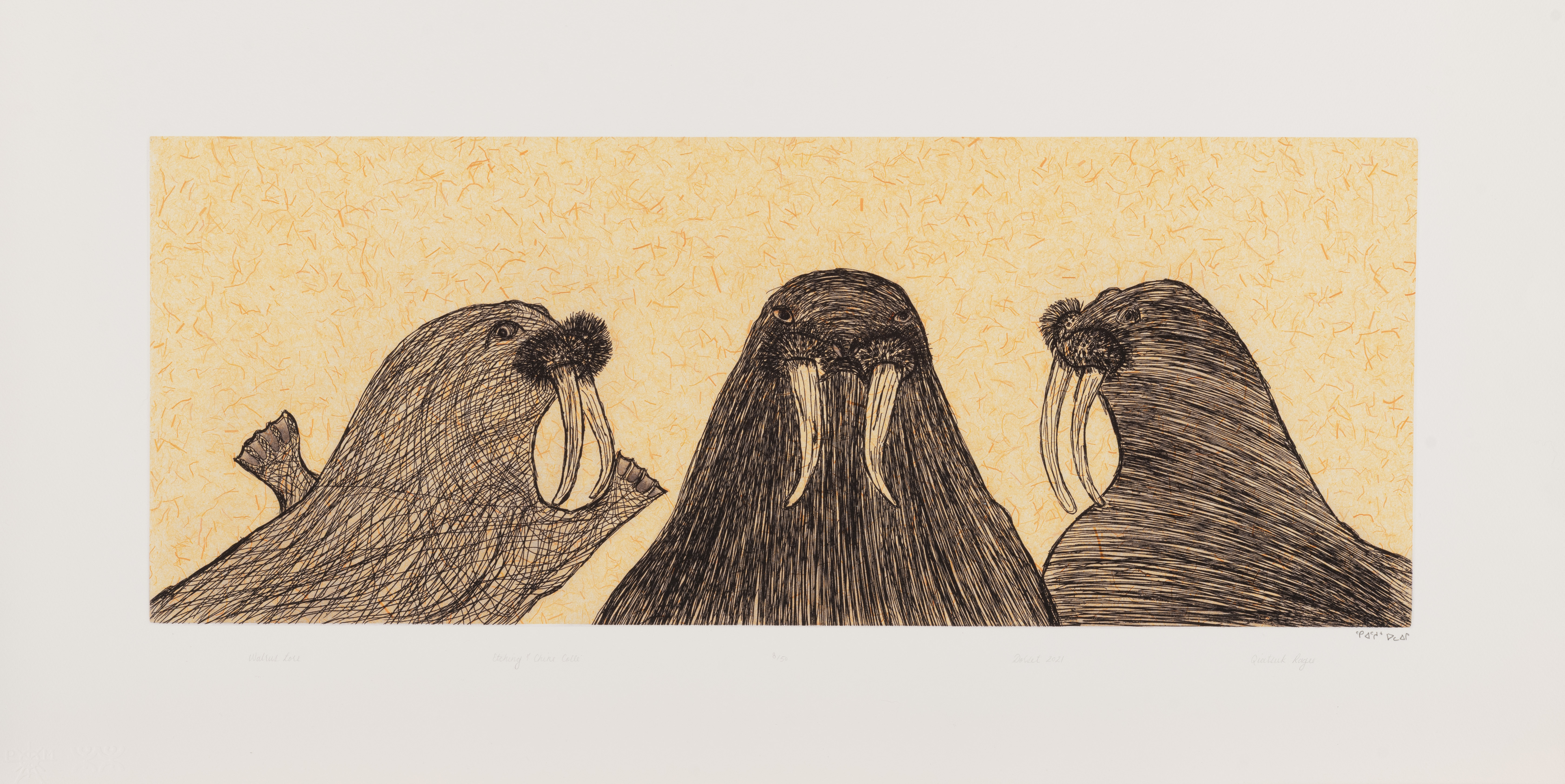 Walrus Lore – Image 1