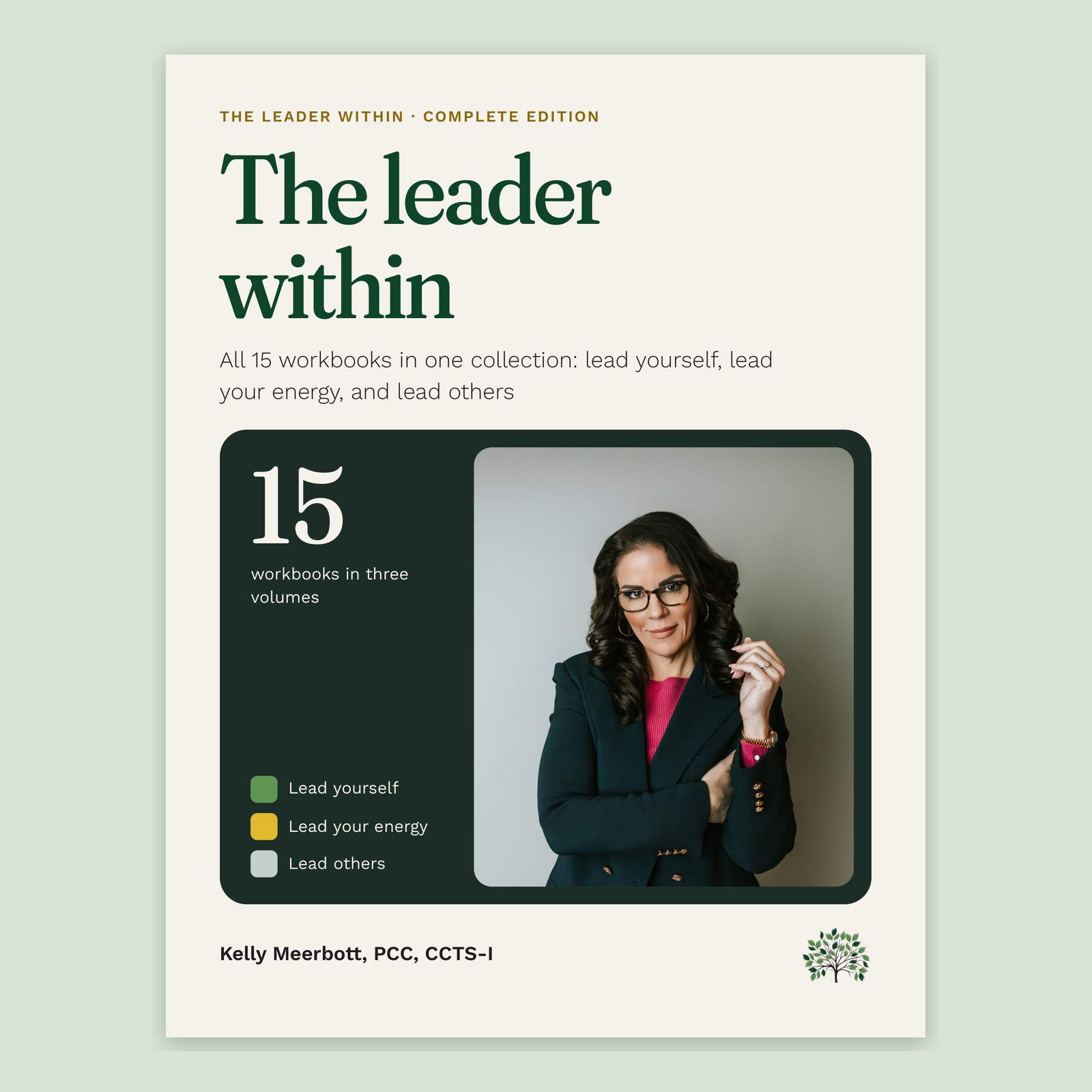 The Leader Within: the complete set of 15 leadership workbooks – Image 2