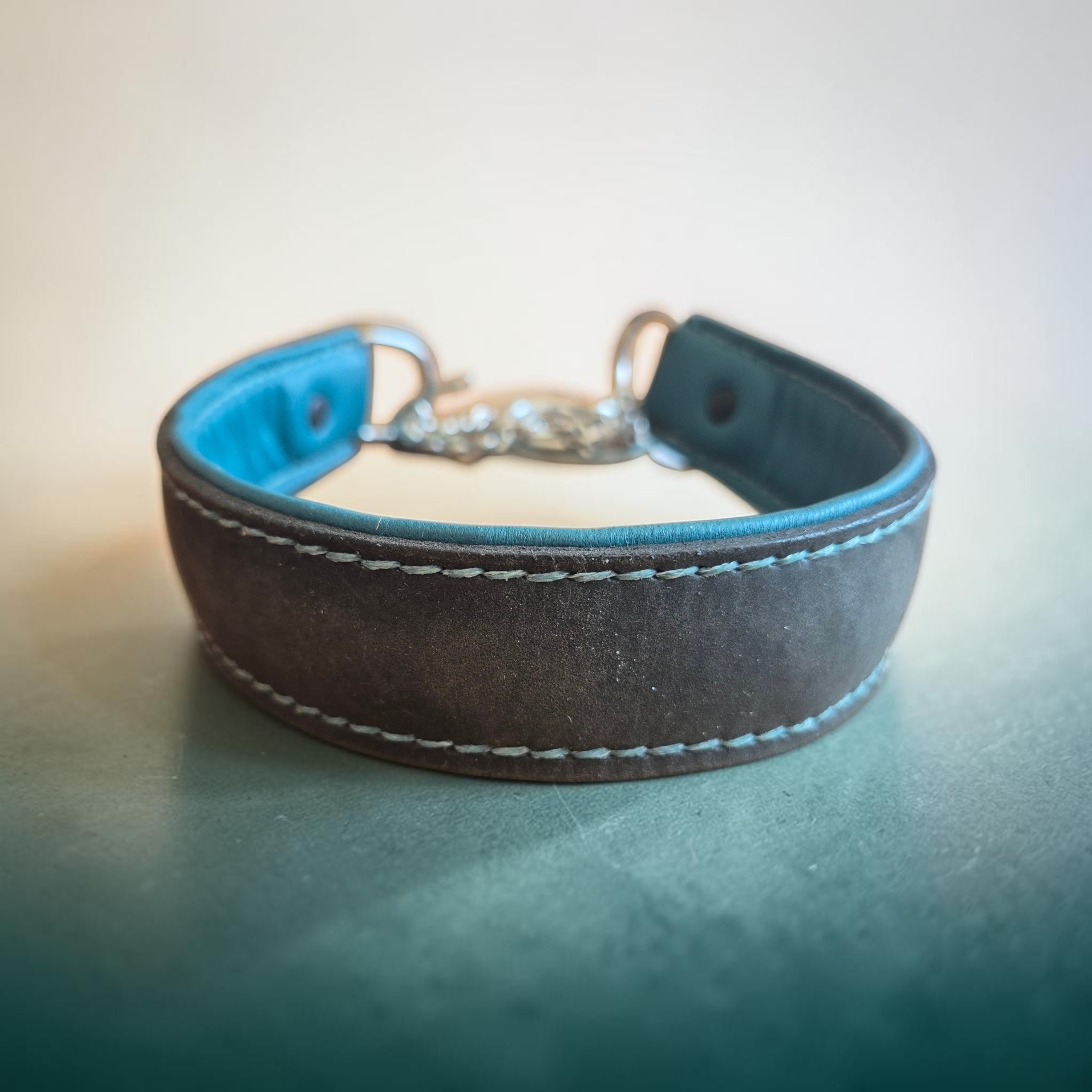 Halvstryp hundhalsband – Bild 6