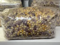 Grain Bag 3 lb – Image 1