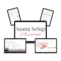 Asana Setup Assistant – Image 1