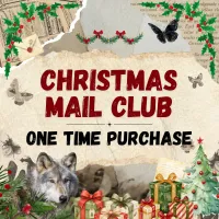 Christmas One Time Purchase Mail Club – Image 1