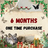 Christmas One Time Purchase Mail Club – Image 2