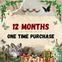 Christmas One Time Purchase Mail Club – Image 3