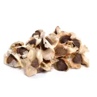 Moringa Seeds – Image 2