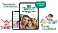 The Meltdown Miracle – Image 2
