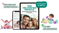 The Meltdown Miracle – Image 2