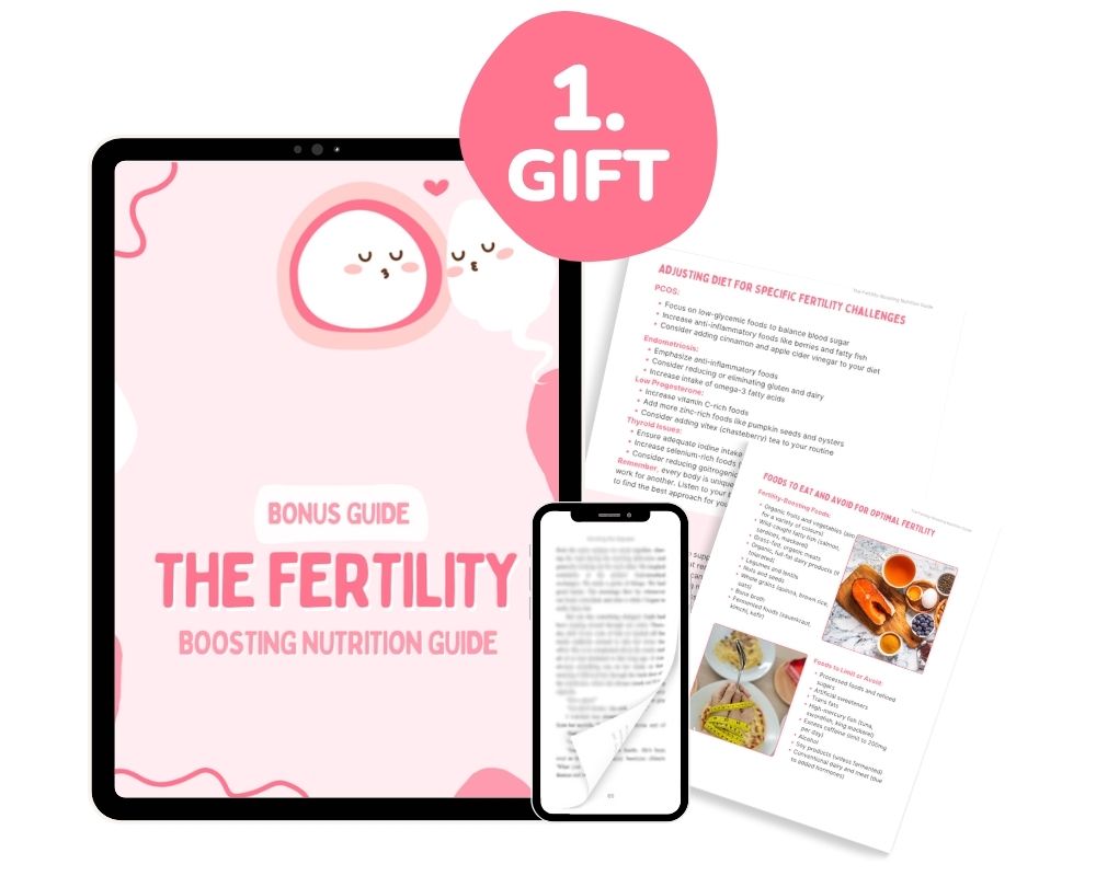 The Fertility Reset  – Image 2