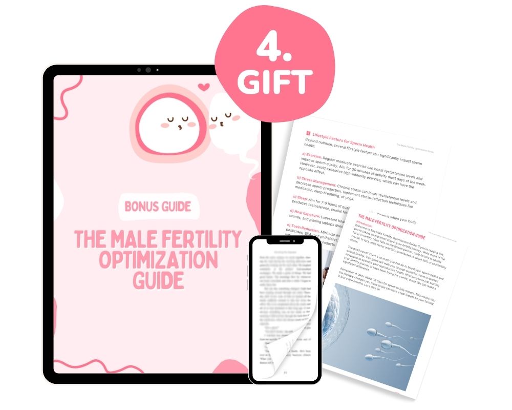 The Fertility Reset  – Image 5