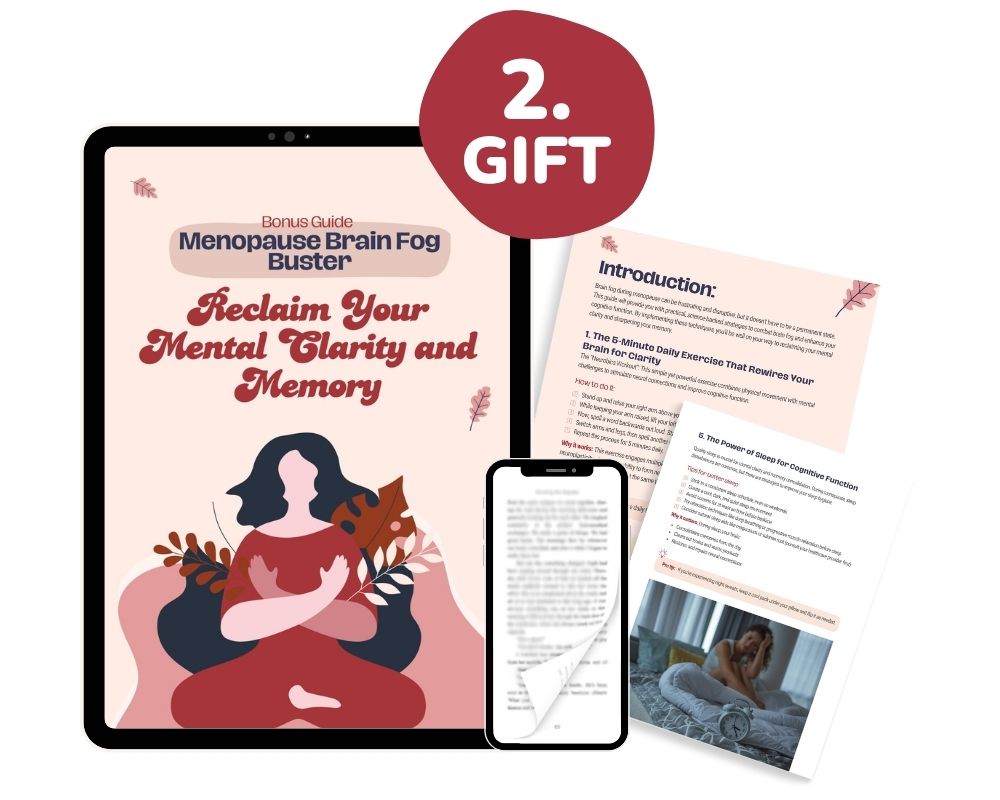 The Menopause Survival Guide – Image 3