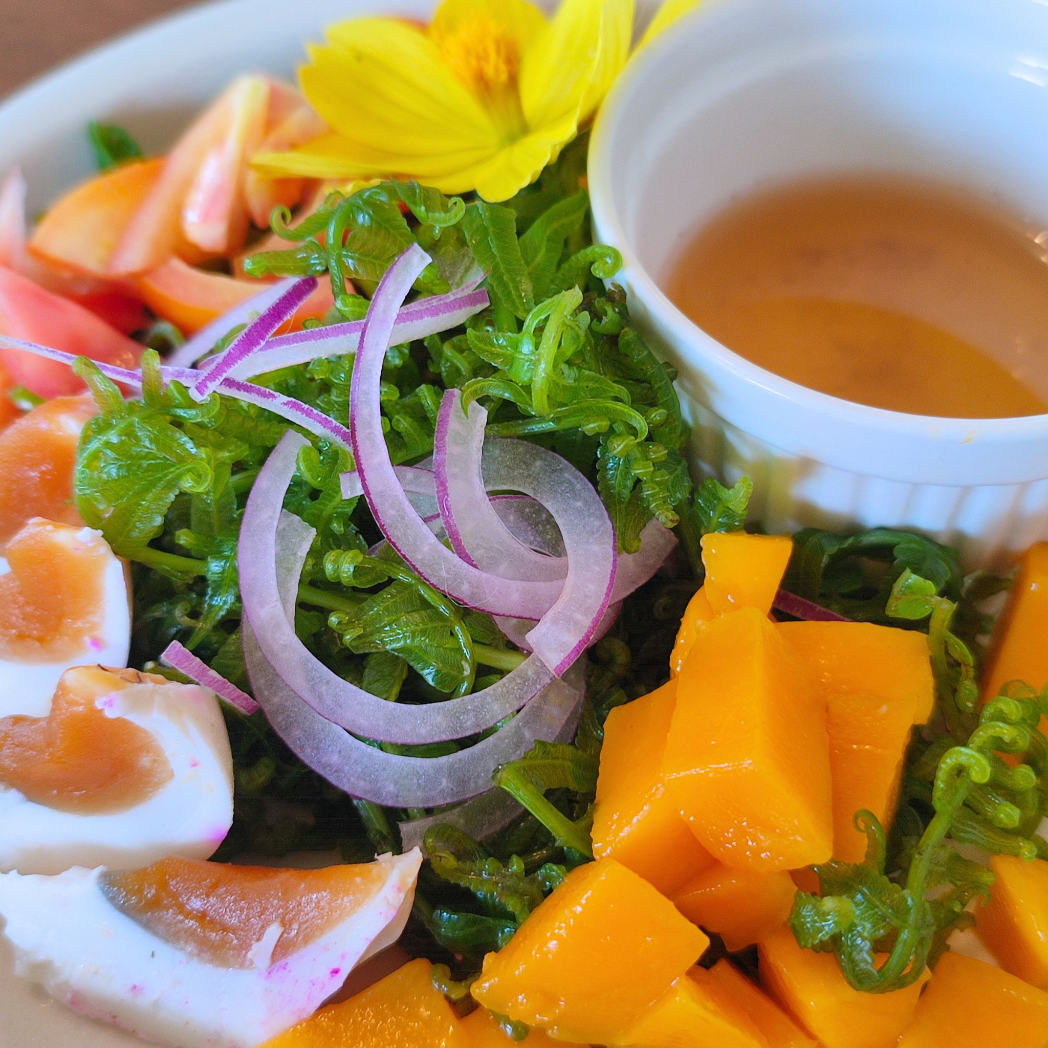 Pako Salad – Image 1