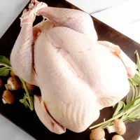Whole pastured turkey – Image 1