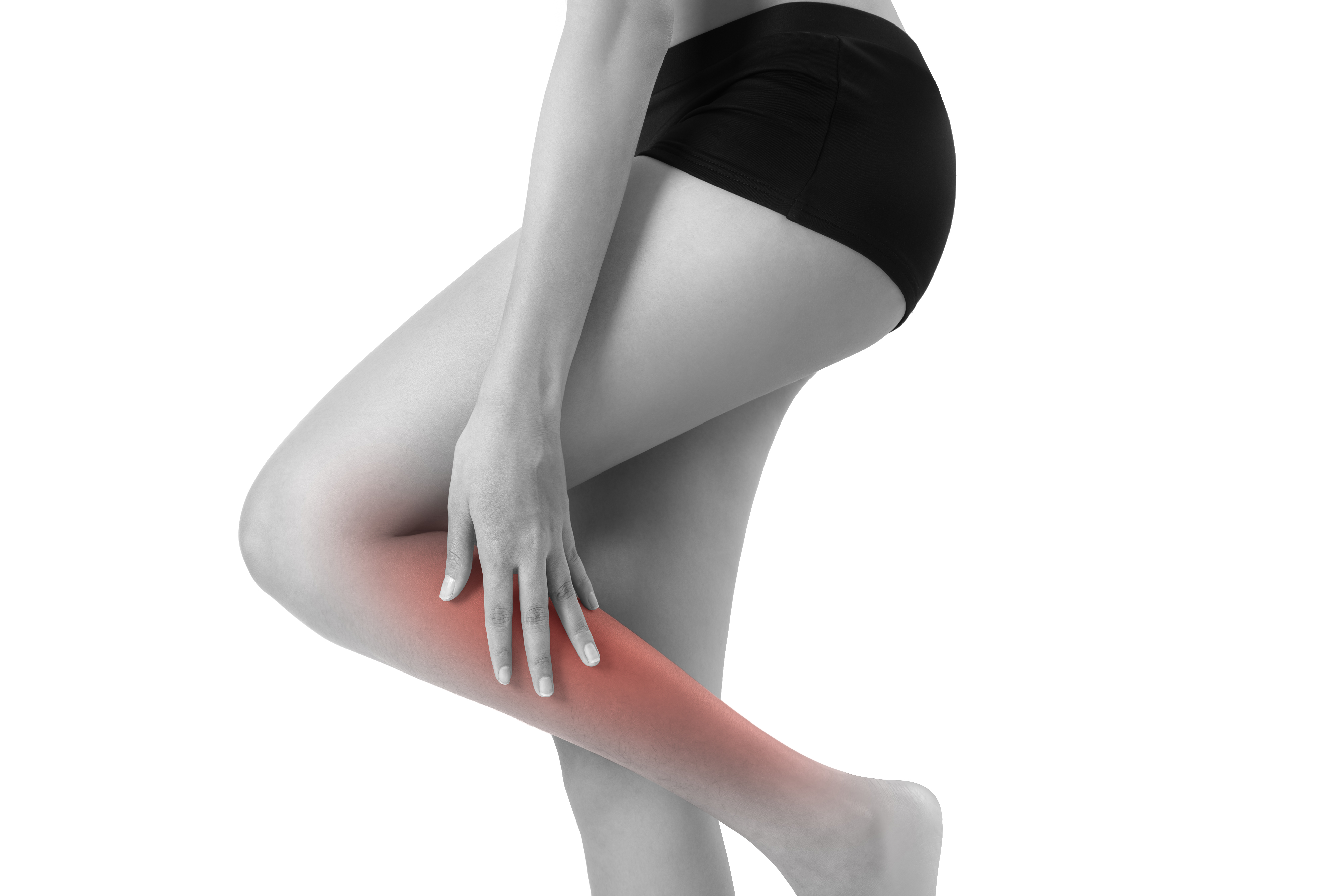 Leg Bundle: 4 Modules – Image 8