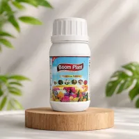 Boom Plant – Image 1