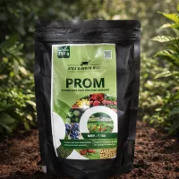 PROM – Image 1
