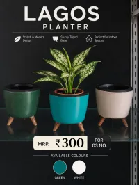 Lagos Office Planter – Large (Minimum order 3) – Image 1