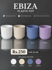 Ebiza Designer Pot – Small (Minimum order 5) – Image 1