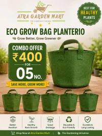 Eco Grow Bag – Green (with Handles) (Minimum order 5) – Image 1