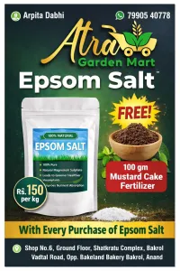 Premium Epsom Salt with Free 100g Mustard Cake – Image 1
