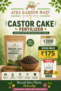 Castor Cake Fertilizer + FREE 100 GM Bio NPK – Image 1