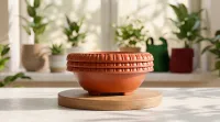 Premium 12-Inch Bonsai Pot Bundle with a FREE GIFT 100 gm Mustard Cake Fertilizer – Image 2