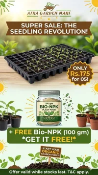 Seedling Tray Super Saver Combo (05) with FREE GIFT 100 gm Bio-NPK  – Image 1