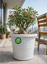 DURO N30 WITH 1 KG EPSOM SALT FREE – Image 1