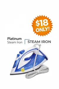 Platinum steam iron – Image 1