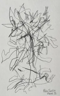 Palo Santo II – Image 1