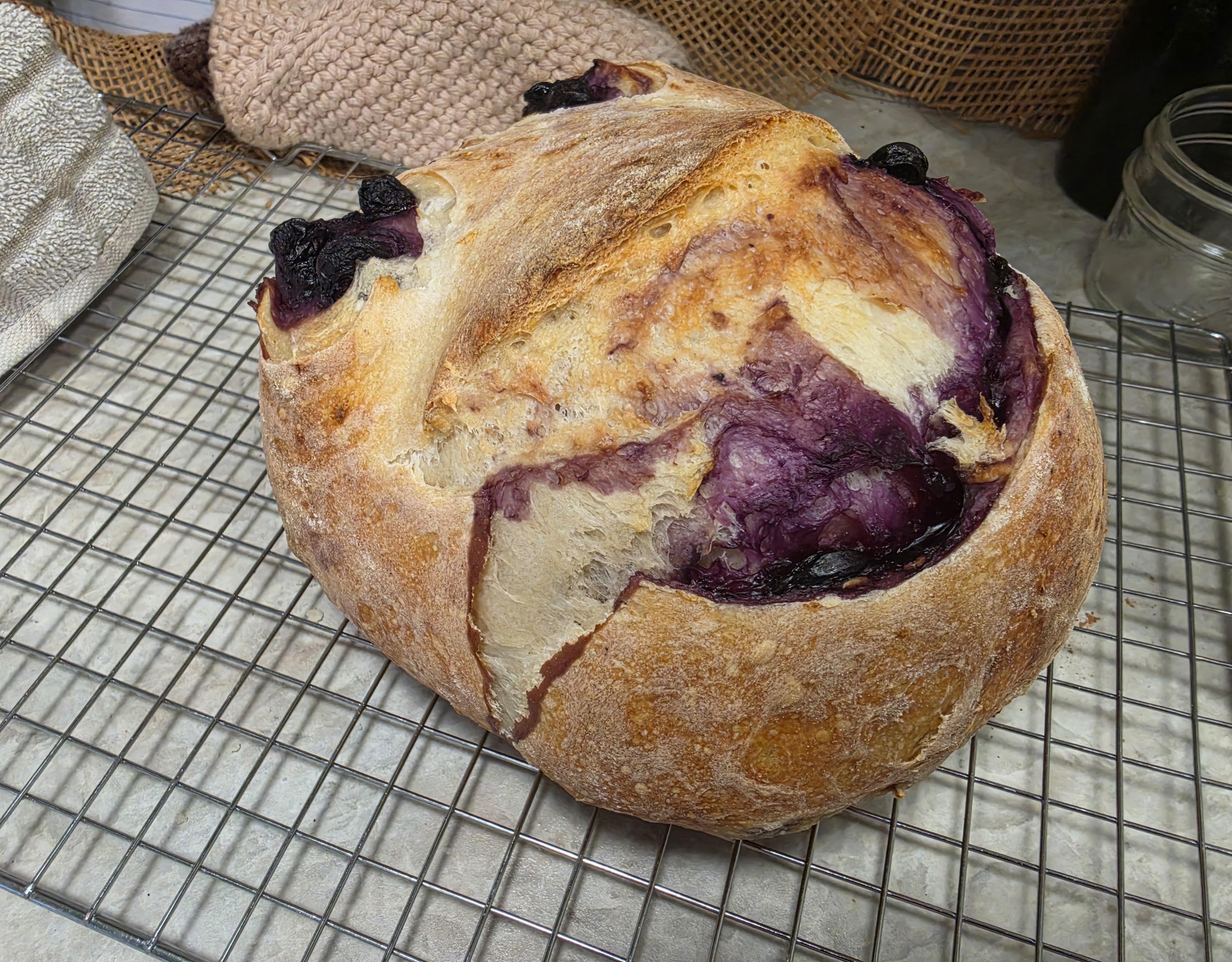 Blueberry Lemon Sourdough Loaf – Image 1