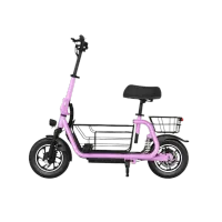 C1 Pro – Pink