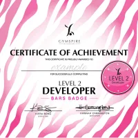 Level 2 - Developer - Bars – Image 1