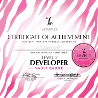 Level 2 - Developer - Vault – Image 1