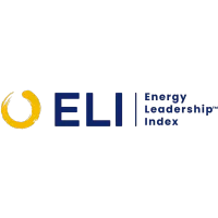 Energy Leadership Index (ELI) Assessment  – Image 2