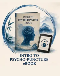 Intro to Psycho-puncture eBook – Image 1