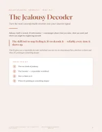 The Jealousy Decoder – PDF Download