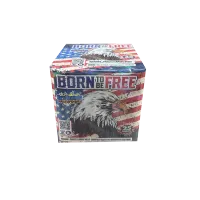 Born to be free – Image 1