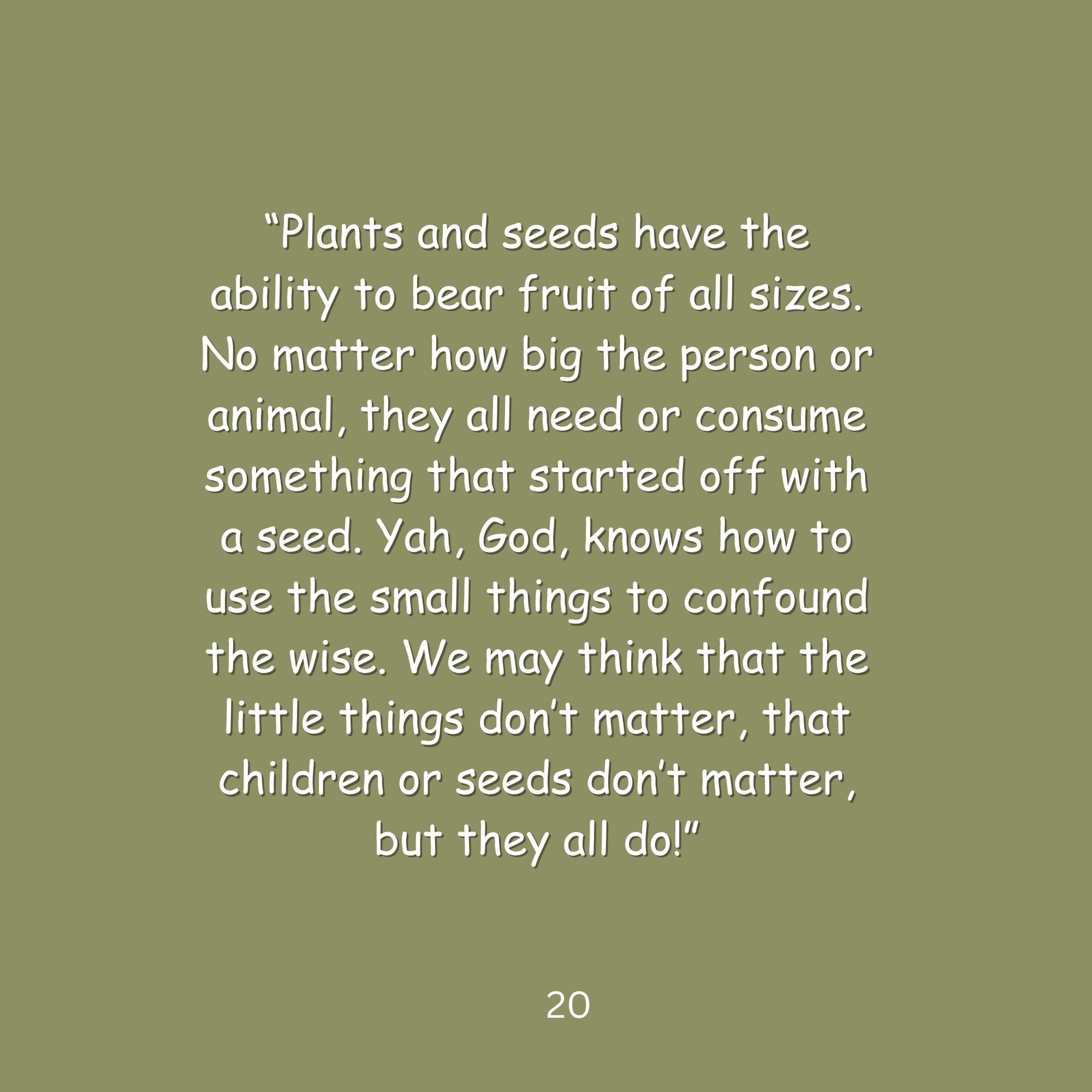 The Plant and the Tree – Image 5