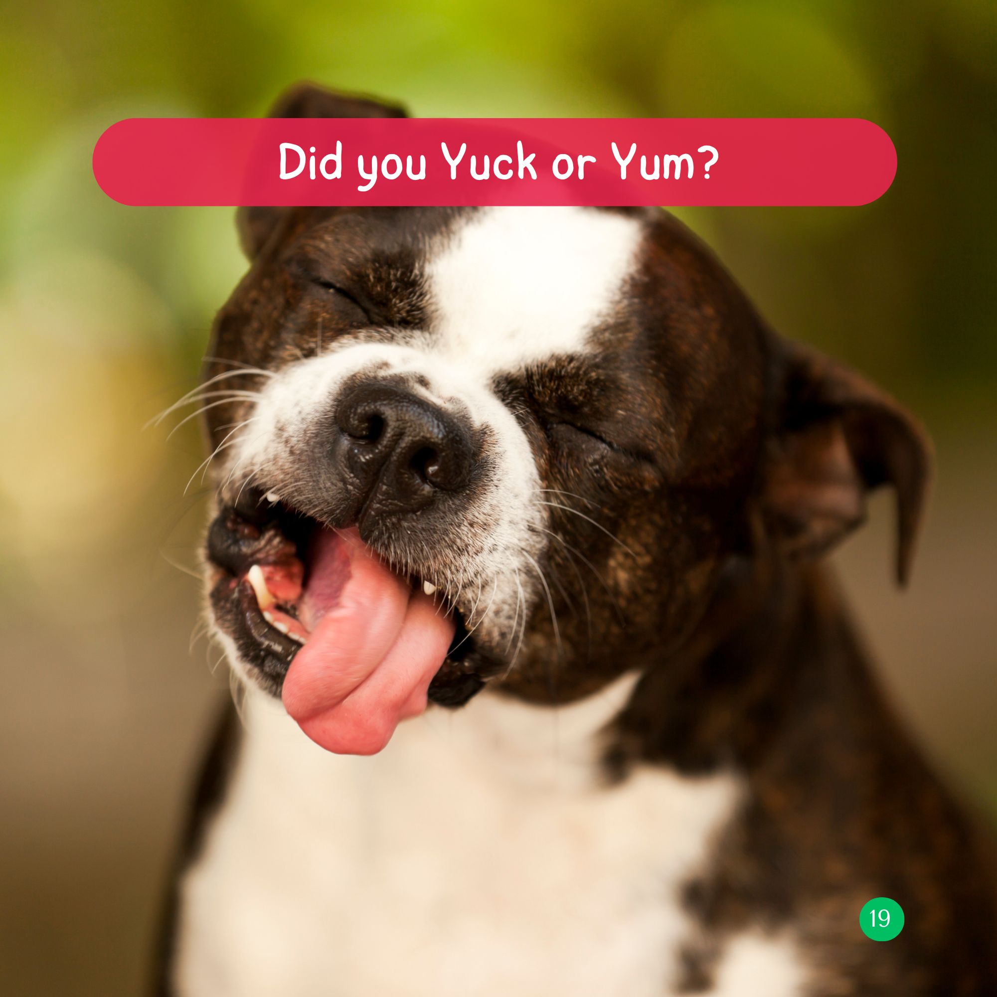 Yuck or Yum – Image 10