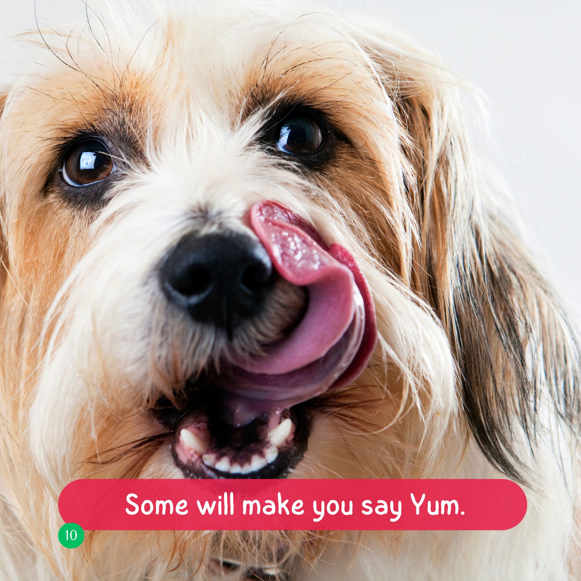 Yuck or Yum – Image 4