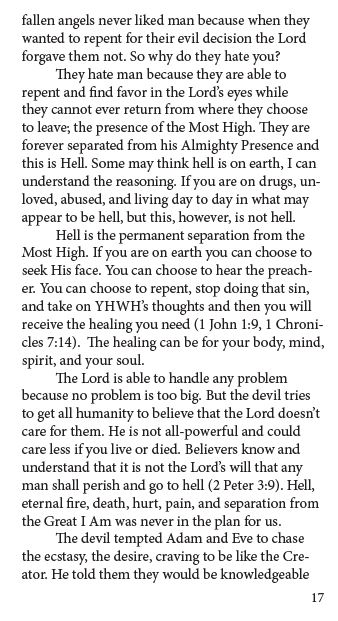 The Ecstasy You Want Heaven but Won't Give up Hell – Image 7