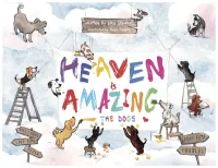 Heaven is Amazing - Signed with Message – Soft Cover