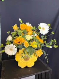 Ray of sunshine – Regular
