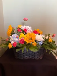 Sunshine Basket – Regular