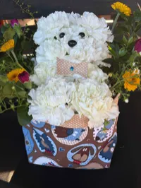 Critter Bouquet (Dog) – With Doggone Basket
