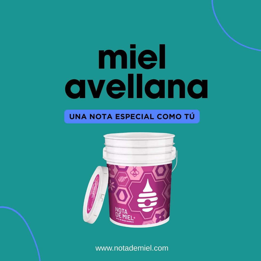 Cubeta Miel Avellana 25 kg – Image 1