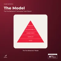 The Five Behaviors® Team Development Assessment & Profile – Image 4